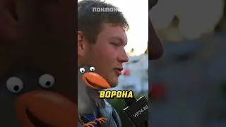 Сидит ворона 