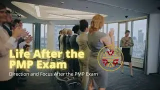 Life After PMP #6 👉 RECRUITMENT Statistics & Tips