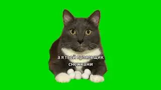 комков футаж