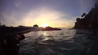 Pescasub: ASPETTANDO LA REGINA