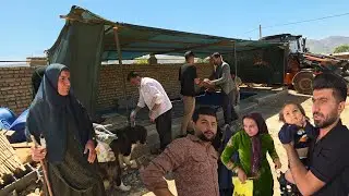 The cooperation of tahmurs and Ehsan in the construction and the result of this cooperation