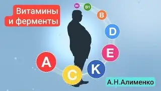 Витамины. Механизм их усвоения за счет работы ферментов. А.Н.Алименко.