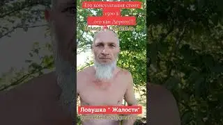 Жалость