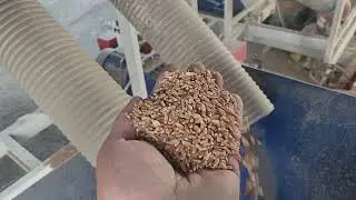 зерноочистительный комплекс СЗК САД 🏭 АЭРОМЕХ в работе Карачаево Черкесская Республика #аэромех