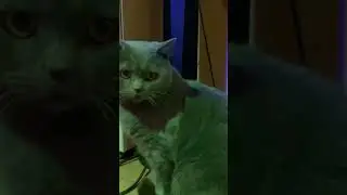 Готовьте вопросы 17 декабря в 