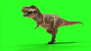 New green screen effect 2019 super duper