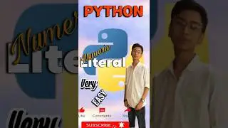 Numeric Literal in PYTHON 
