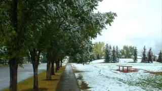 Наше лето