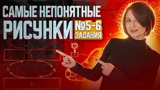 Задания №5 и 6 | Рисунки из сборника Рохлова | ЕГЭ-2025 по биологии