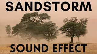 Sand Storm Sound Effects