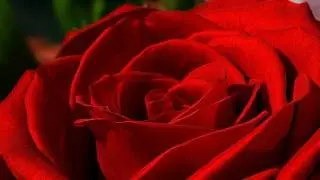 Come creare video romantici Movie Maker