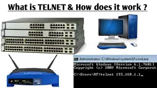 What is TELNET ? | How does TELNET Work | TELNET Explained in detail