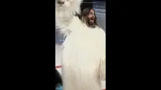 Jared Leto's wore head-turner outfit as he appeared in a full-size cat costume at Met Gala