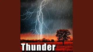 Several Shakes from Large Thunder Sheet