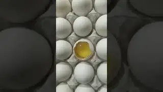 Egg photography || # shorts