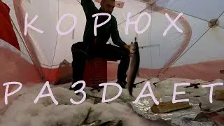 Корюховый беспредел. Рыбалка в Сухом море, 
