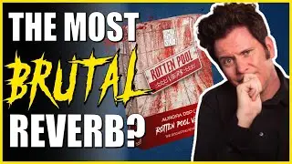 The Dirtiest Reverb Plugin? - Reviewing Rotten Pool Reverb by AuroraDSP