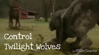 Control- Wolves AMV (Twilight)