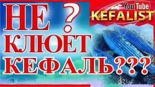 Рыбалка на кефаль! Почему не клюёт кефаль ??? Как ловить кефаль???