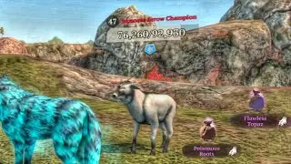The Wolf - Japanese Serow Champion 🏆