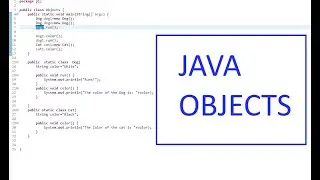 JAVA OBJECTS WITH EXAMPLES (SIMPLEST WAY TO LEARN JAVA OBJECTS)