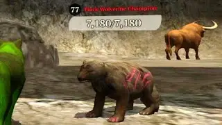 The Wolf - Black Wolverine Champion 🏆
