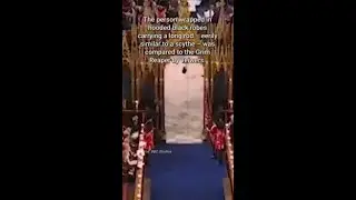 Spooky guest at King Charles III coronation causes frenzy