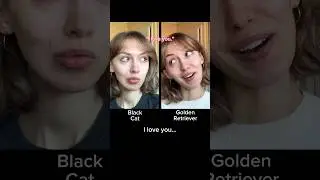 #pov