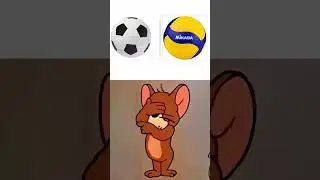А что выбираете вы?