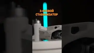 Это что за покемон? 