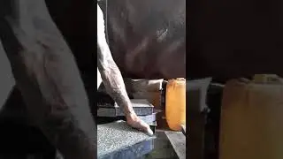 Как извлечь тротуарную плитку из формы.