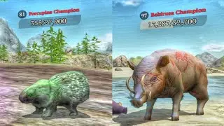 The Wolf - Porcupine Champion And Babirusa Champion 🏆