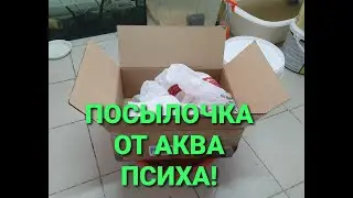 Долгожданная посылочка! Что пришло в нем?