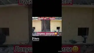 Все в кучу. Собрал на будки 60 тысяч! Где деньги, Зин?!