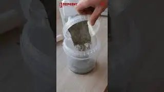 На какой клей лучше класть блоки? Эксперимент по клеящей способности 