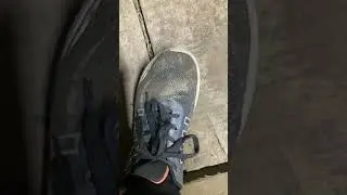 Untitled video