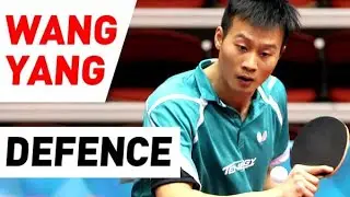 chopper  WANG YANG - best points of matches