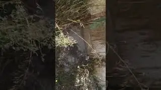 FUI A UMA CASA ABANDONADA