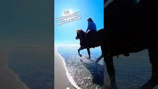 🐎Horse Riding in New Zealand!! 😍