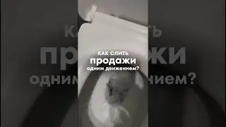 Как слить продажи в 🚽 одним движением? 
