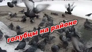 голубцы на районе тоже хотят кушать