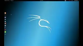 Как настроить VPN в среде Linux Kali