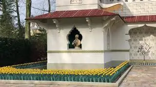 Amaterdam 2019 - дудец
