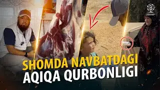 Aqiqa qurbonlik goʻshtlarini faqirlarga ulashishda davom etamiz. // Murgʻak Qalblar