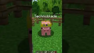 Technoblade Never Dies ❤❤ #shorts #minecraft #minecraftshorts #technoblade #technobladeneverdies