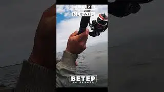 Рыбалка для начинающих на кефаль! Лучший ветер для рыбалки на море. Как подобрать ветер для рыбалки?