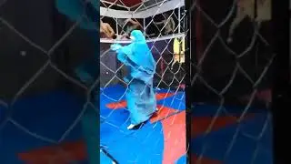 محجبه تلعب بوكس