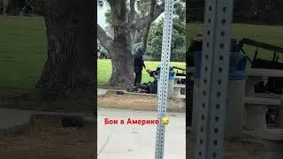 UFC, драки, сша, драки в Америке, Америка, 🇺🇸 