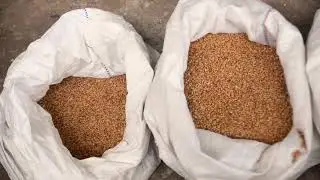 Копия видео 