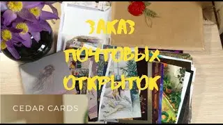 Заказ почтовых открыток из магазина Cedar cards/Посткроссинг/Postcrossing/Postcards